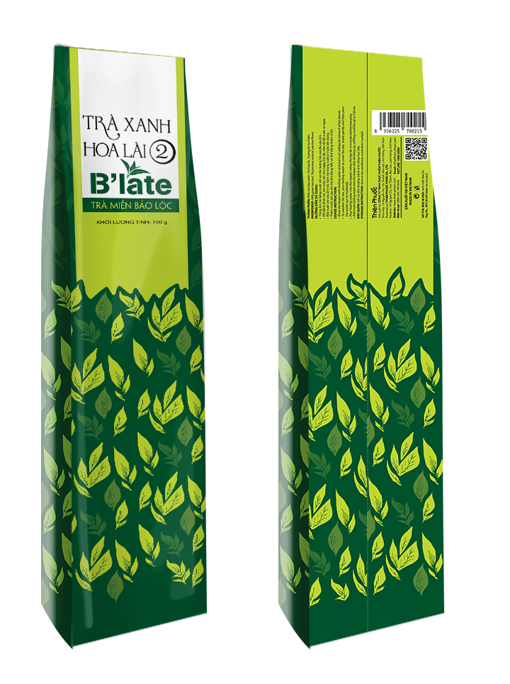 TÚI DÁN LƯNG GIỮA CÓ XẾP HÔNG